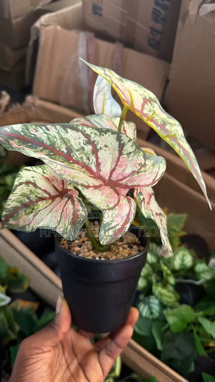 Artificial Green Plant in Black Pot