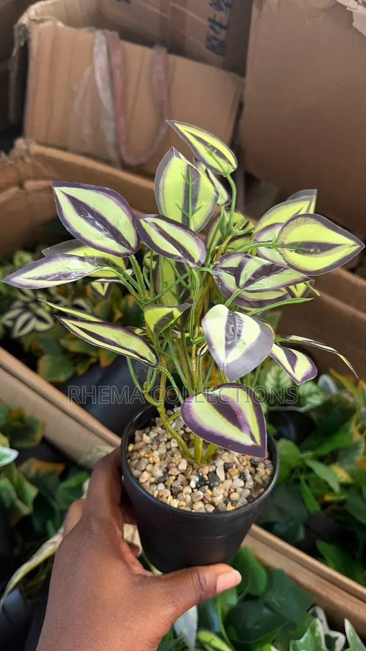 Artificial Green Plant in Black Pot