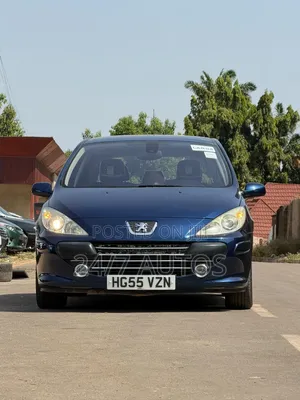 Peugeot 307 2007