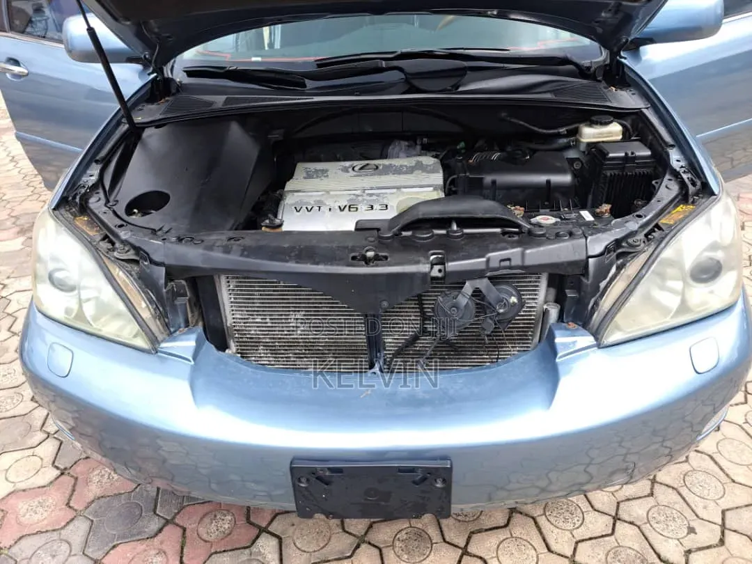 Lexus RX 2006 Blue