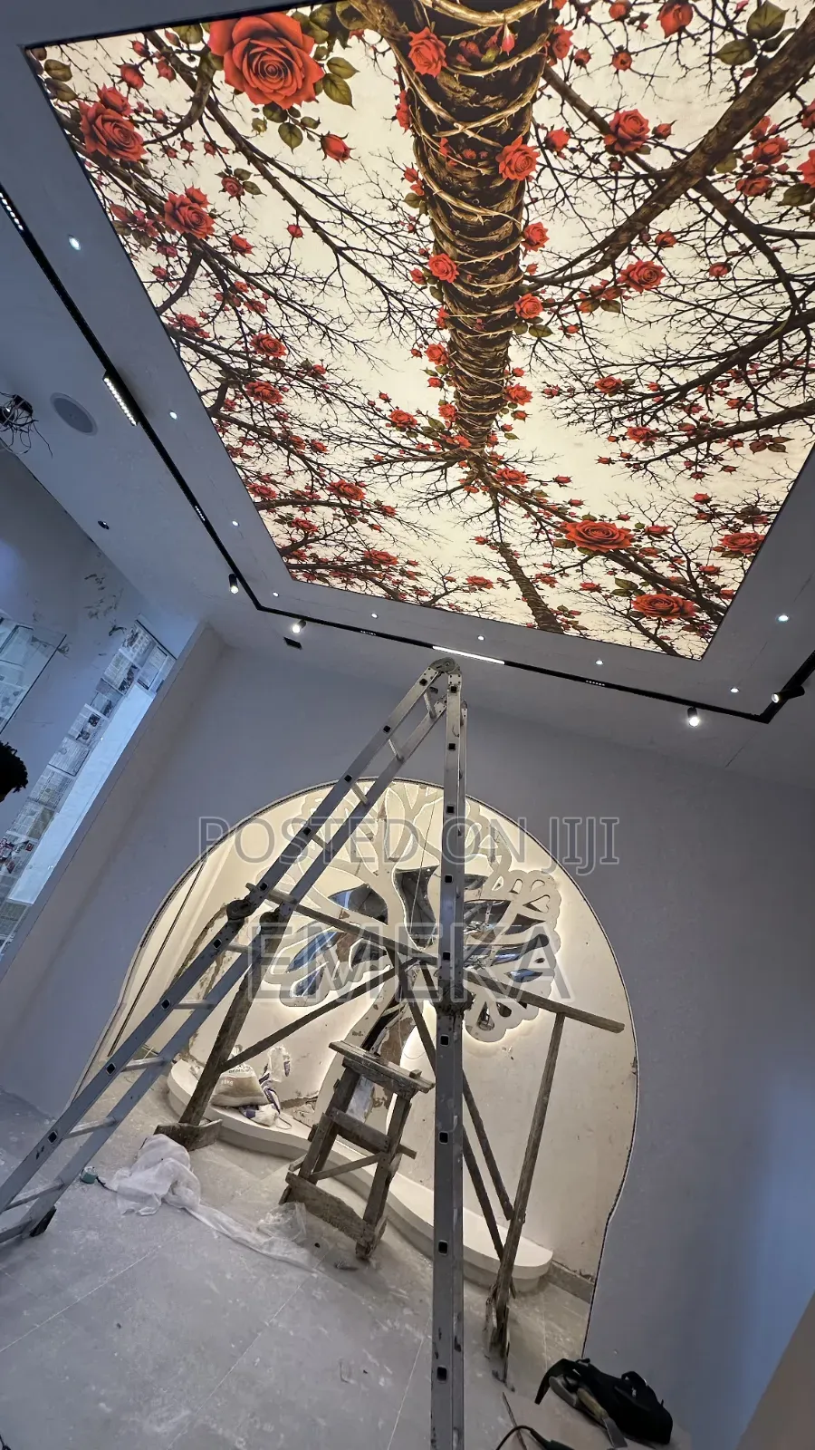Stretch Ceiling