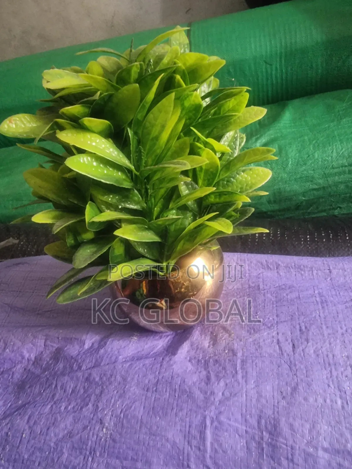 Small Parable Flower Cup