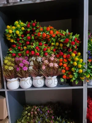 Beautiful Face Cup Flower