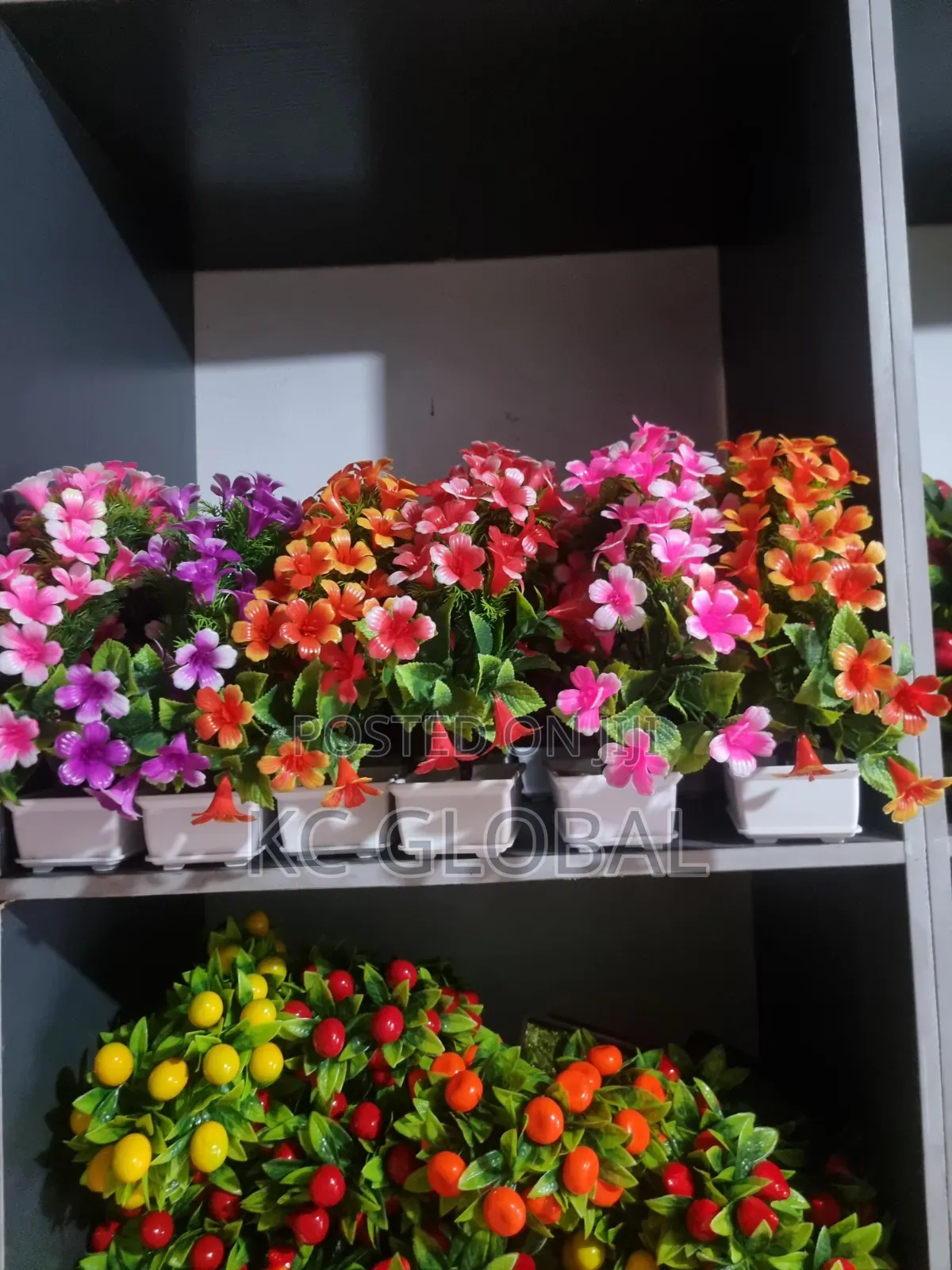 Beautiful Face Cup Flower