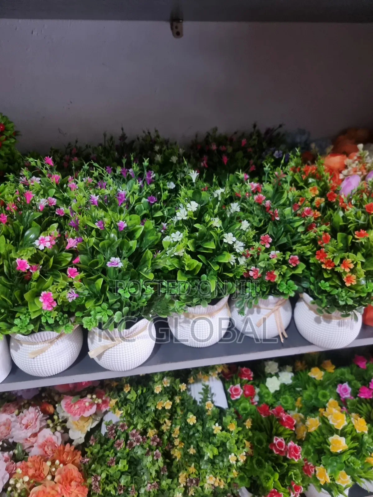 Beautiful Face Cup Flower