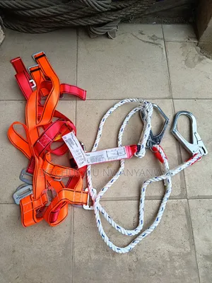 Plus Safety Double Harness Belt