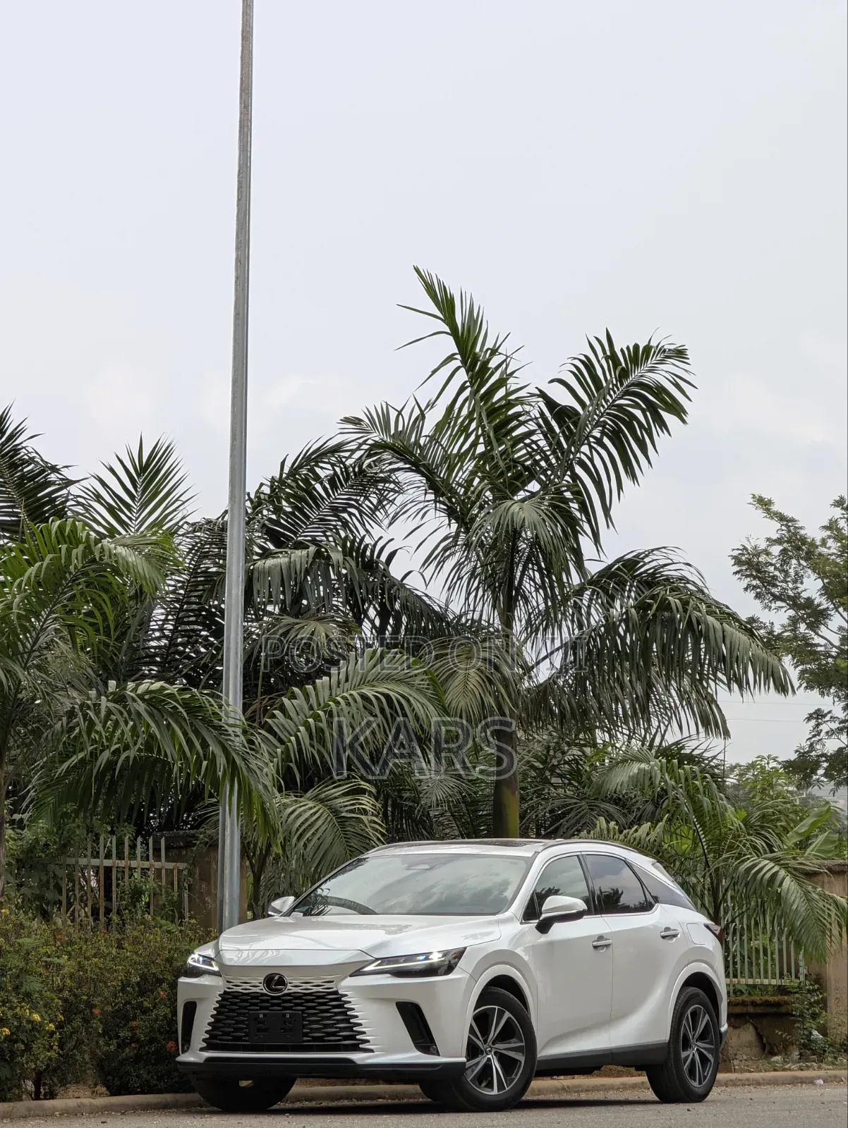 Lexus RX 350h AWD 2025 White