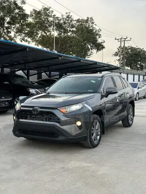 Toyota RAV4 XLE AWD 2019 Gray