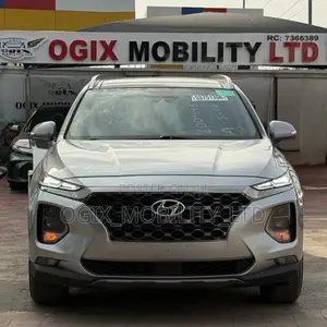 Hyundai Santa Fe 2020 Silver