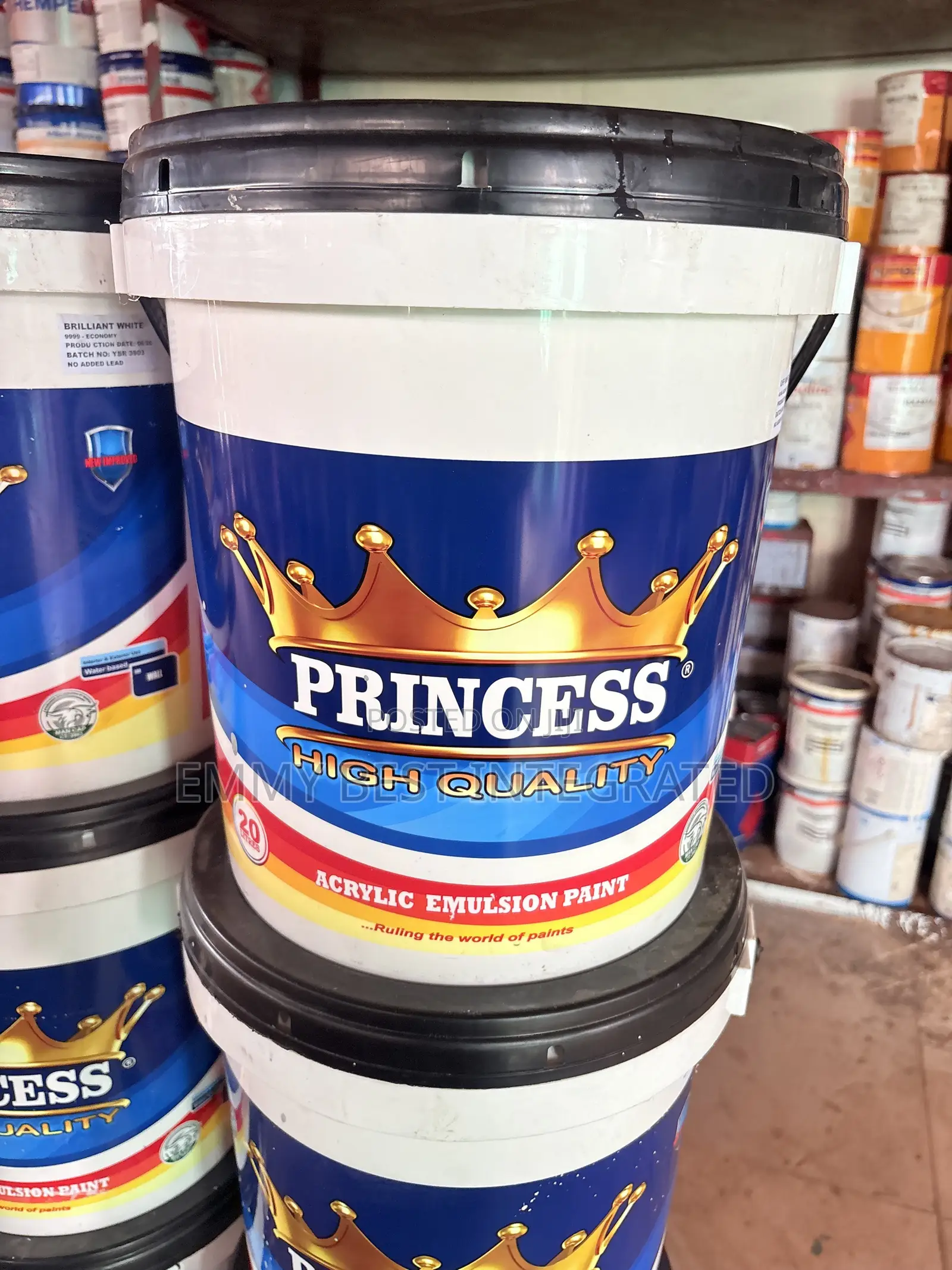 Princess High Quality Acrylic Emulsion Paint,