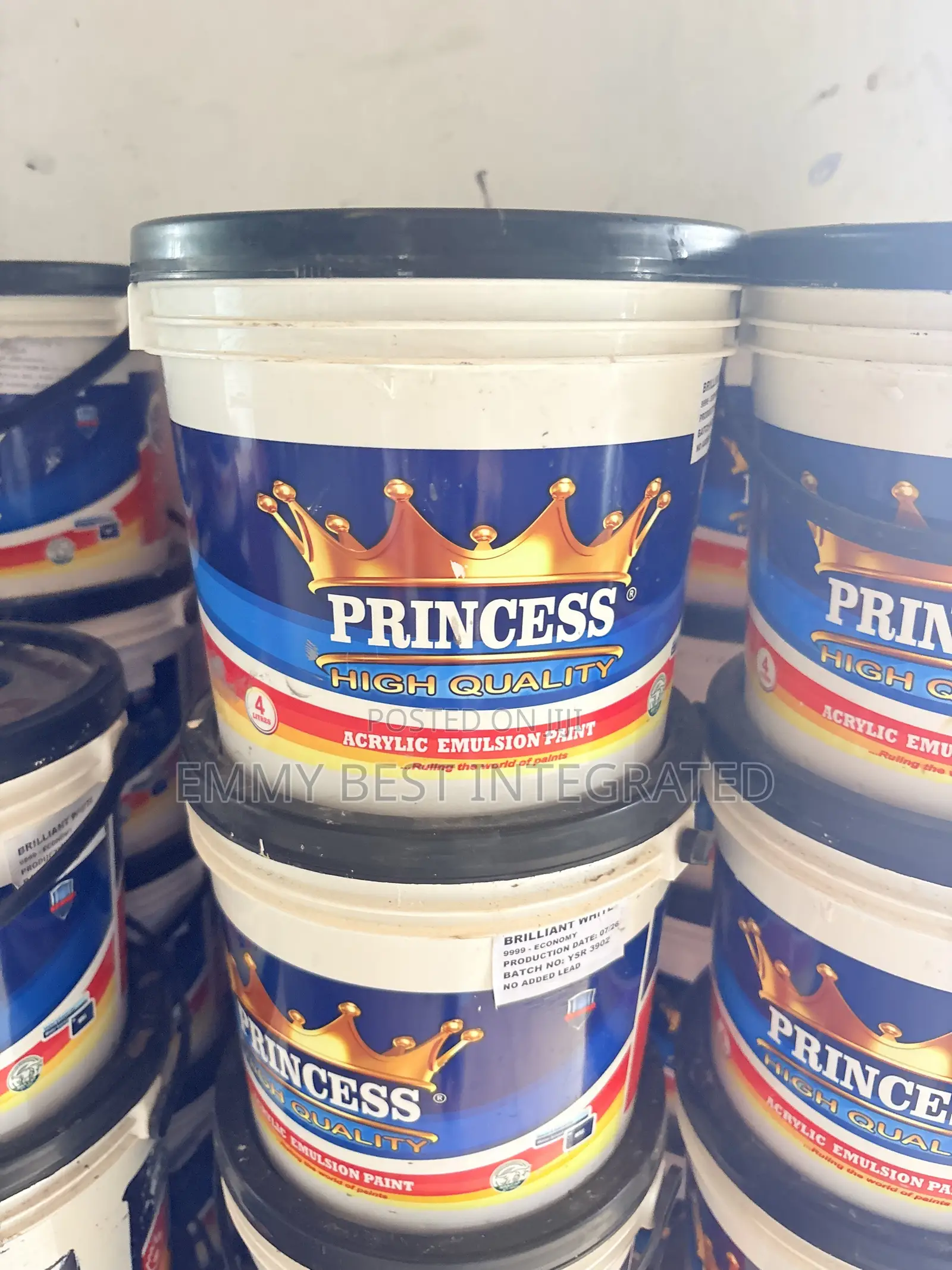 Princess High Quality Acrylic Emulsion Paint,