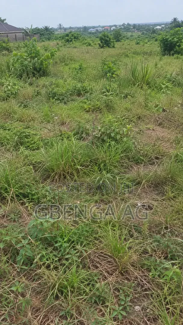 1 Acre of Land for Sale at Siun Owode Road Ogun State