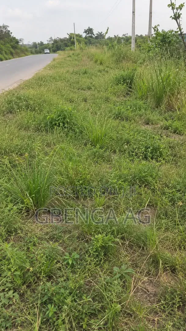 1 Acre of Land for Sale at Siun Owode Road Ogun State