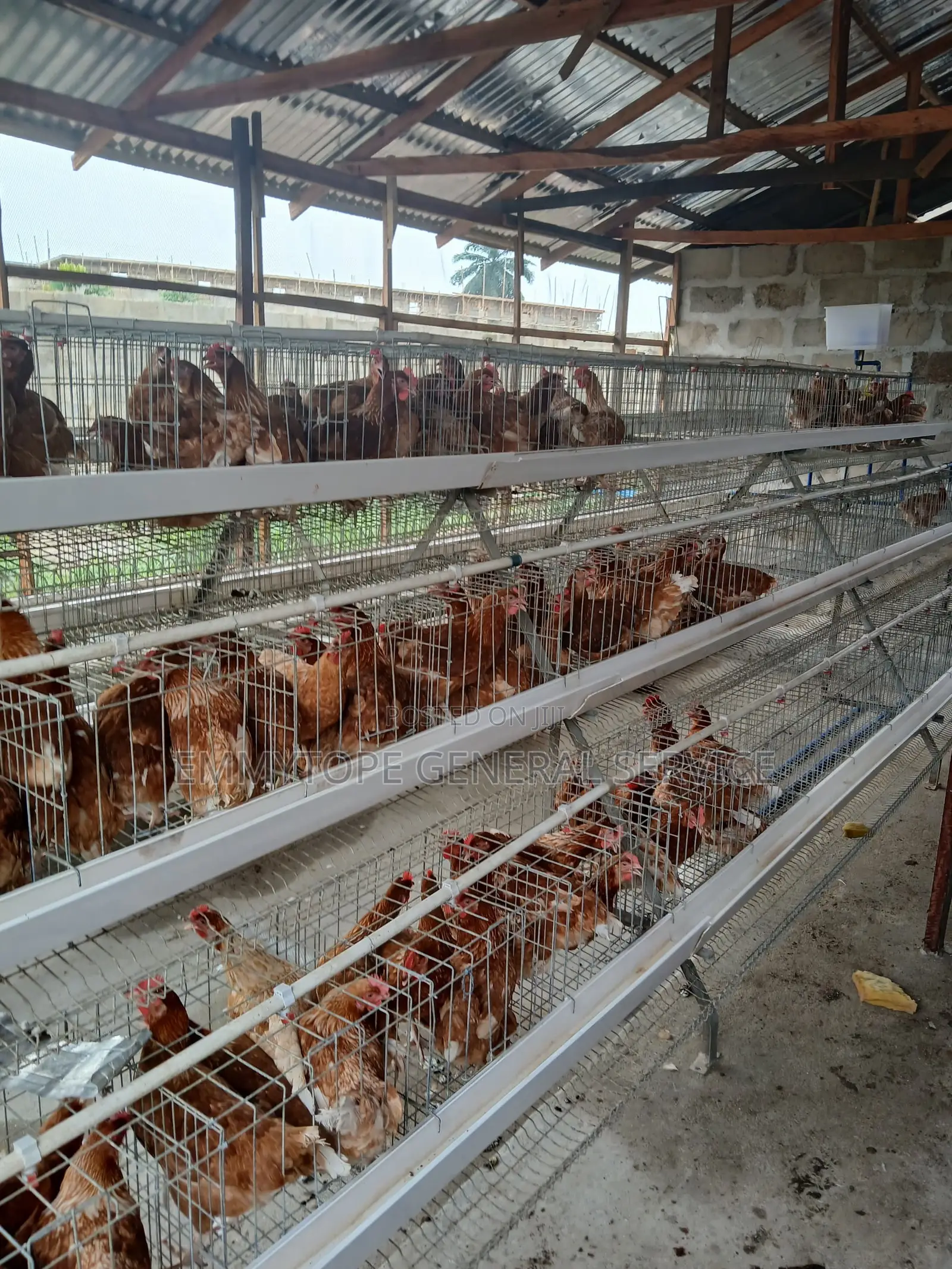 Cage Farm Farm