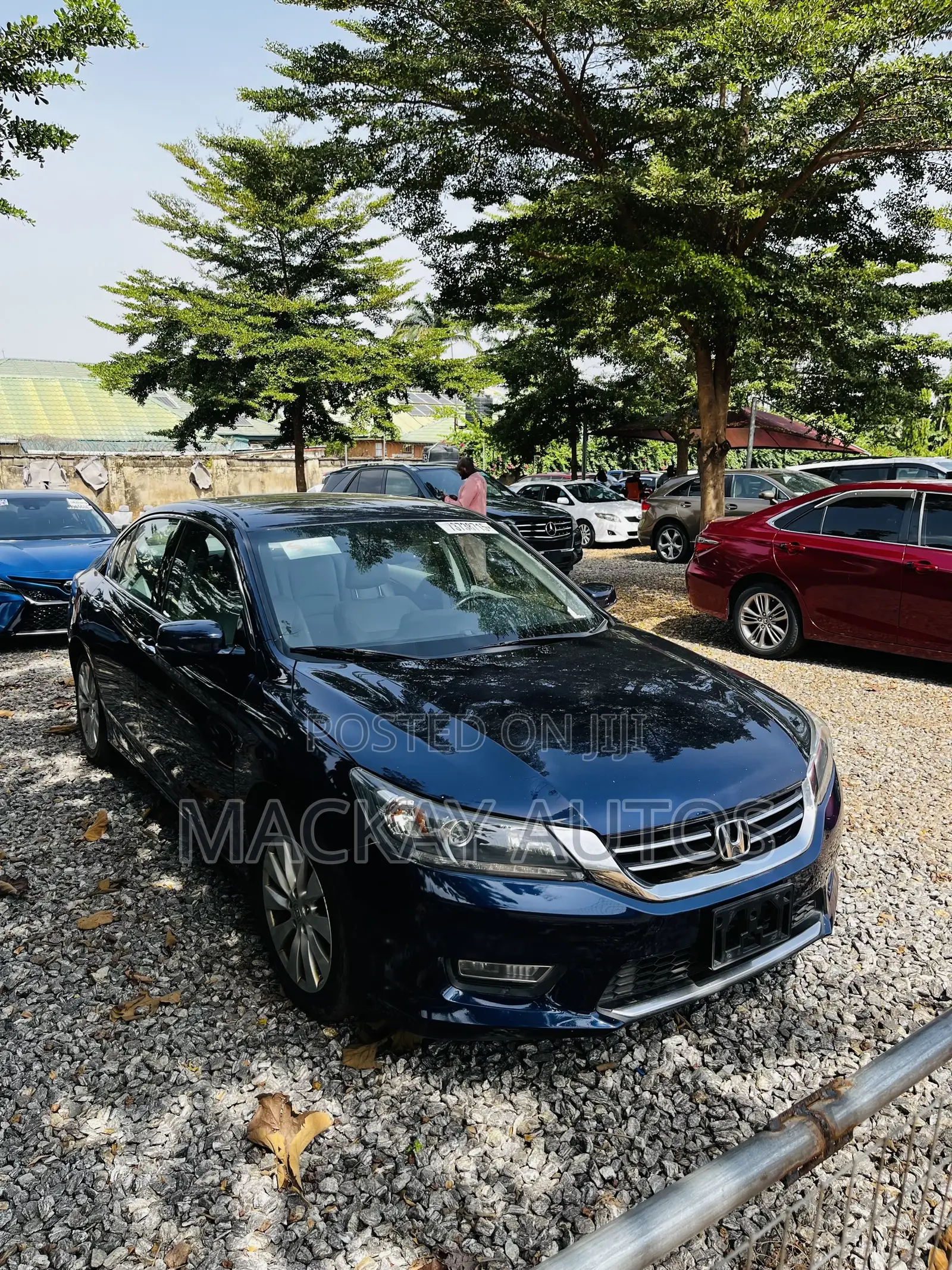 Honda Accord EX-L V-6 4dr Sedan w/Navigation (3.5L 6cyl 6A) 2014 Blue
