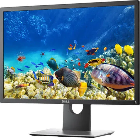 Dell P2217 22-Inch TN 1024p 60Hz Monitor,HDMI Monitor
