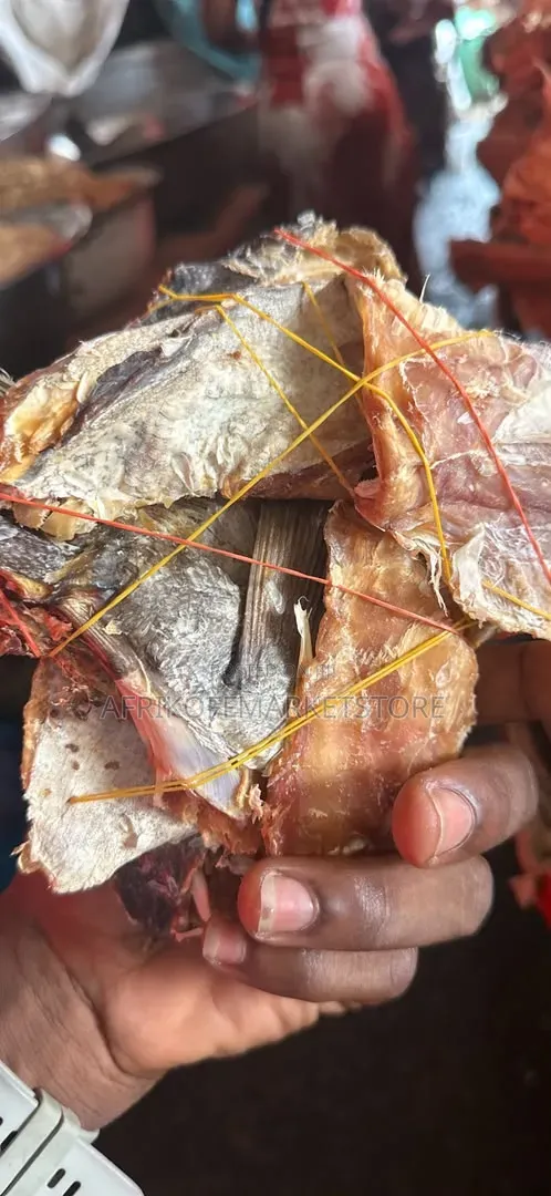 Cod Fish Ear