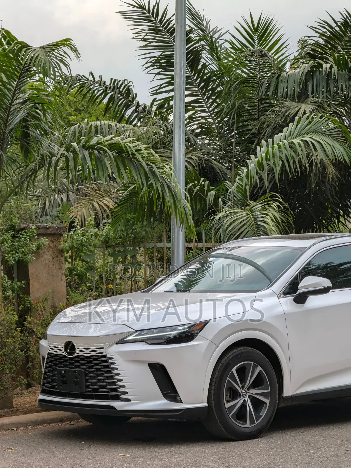 Lexus RX 350h AWD 2025 Gray