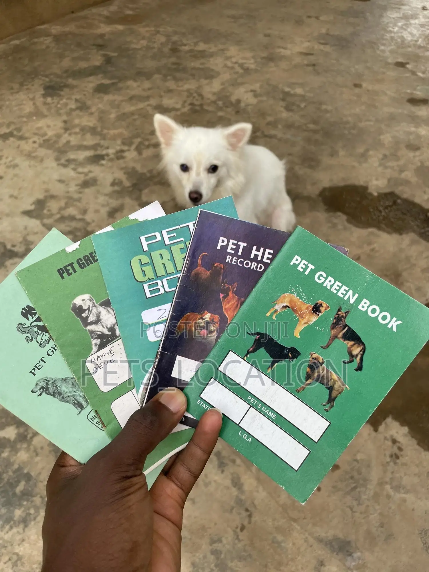 Veterinarian