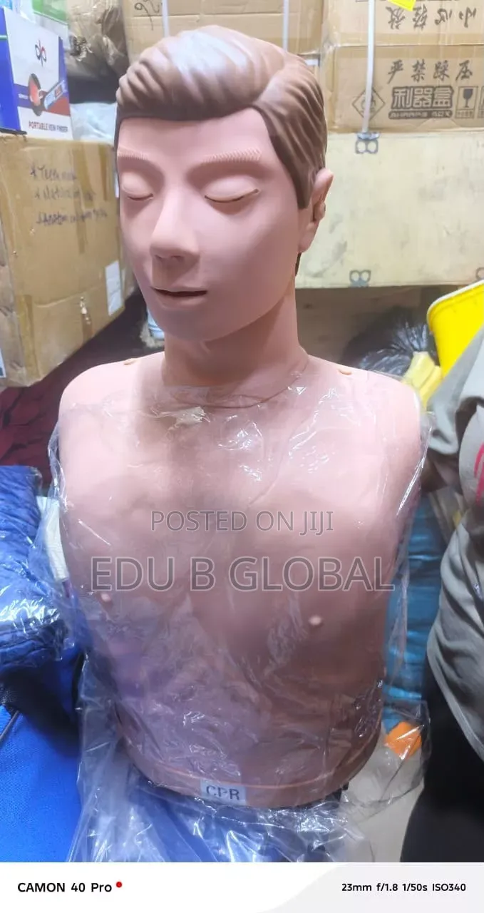 CPR Manikin (Adult)