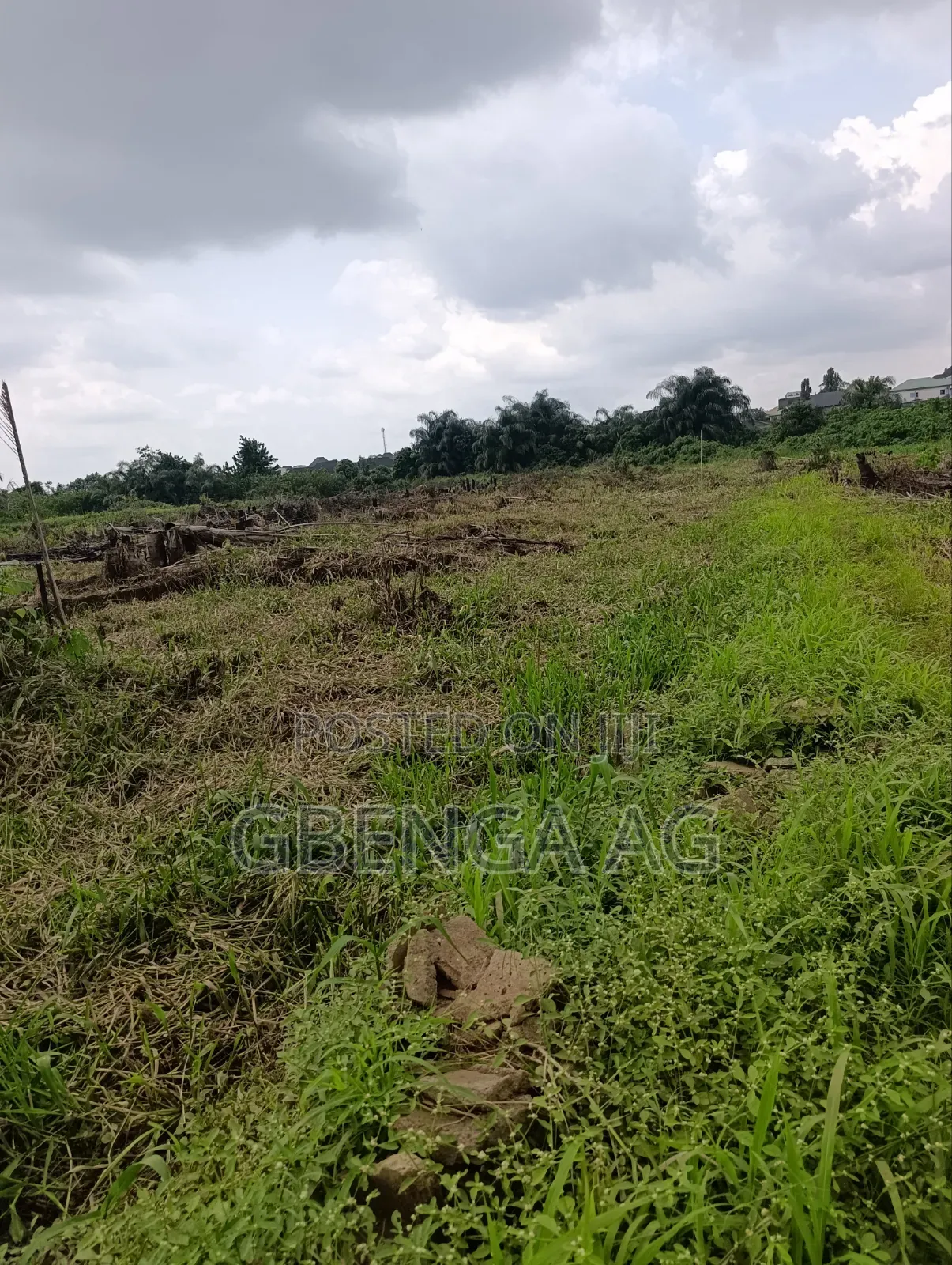 8 Plots of Farmland for Lease at Ashero Siun