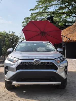 Toyota RAV4 XLE AWD 2024 Silver