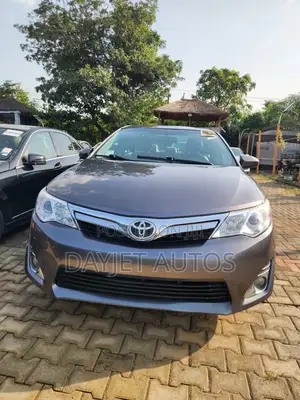 Toyota Camry XLE 4dr Sedan (2.5L 4cyl 6A) 2014 Gray