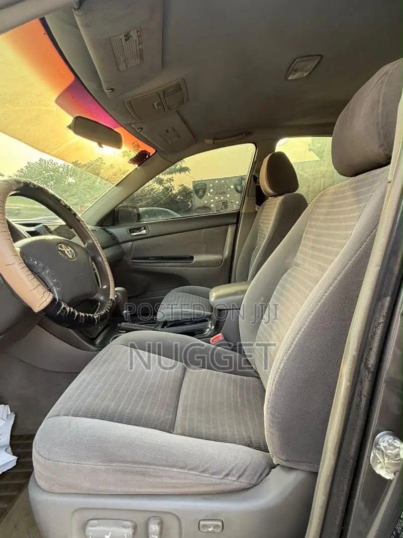 Toyota Camry 2010 Gray