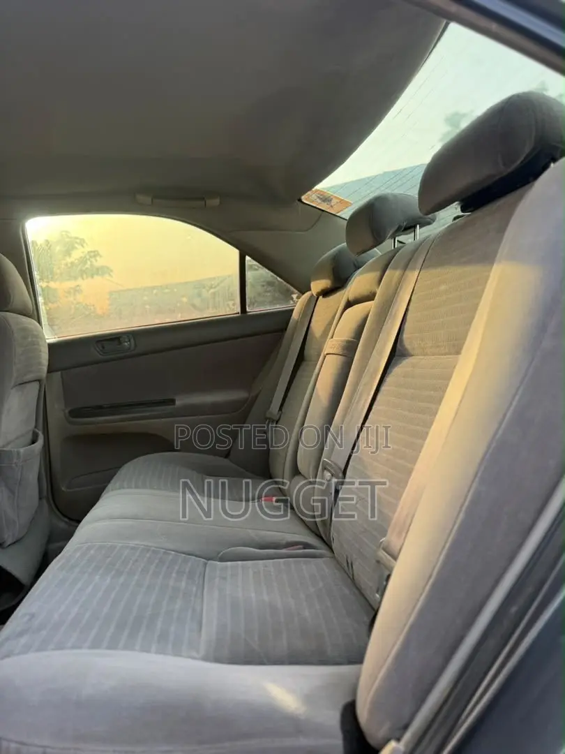 Toyota Camry 2010 Gray