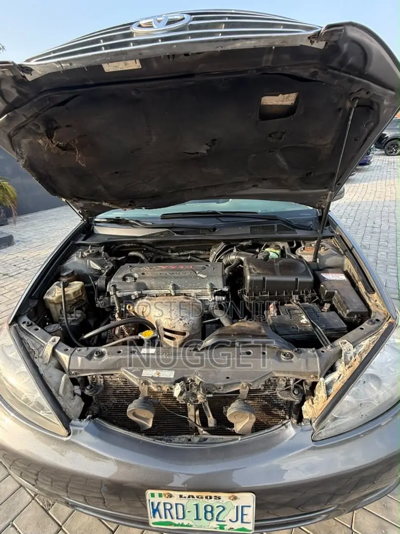 Toyota Camry 2010 Gray
