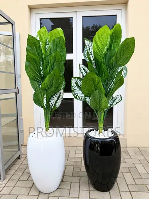 High Quality Fibre Vase With Plant