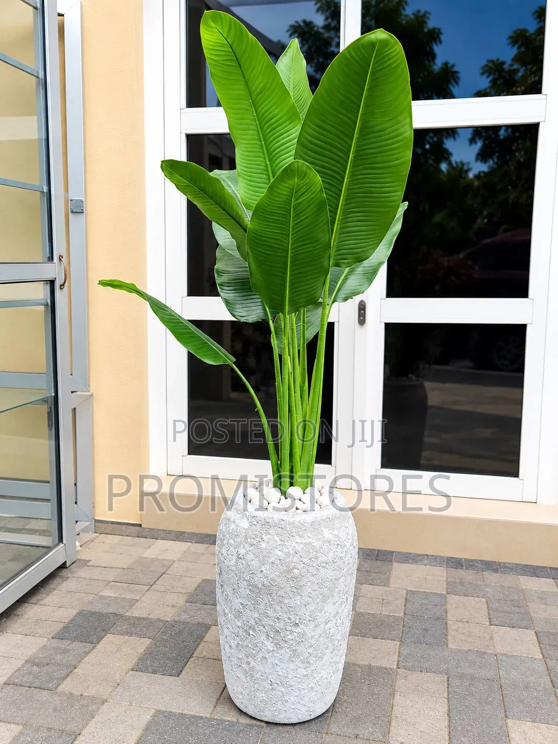 Stylish High Quality Fibre Vase With Plant