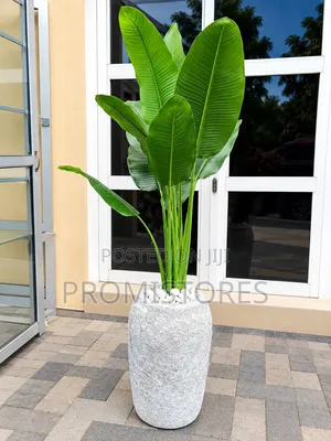 Stylish High Quality Fibre Vase With Plant