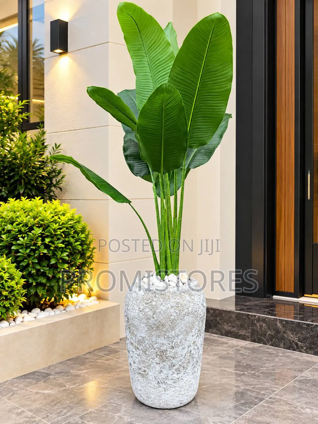 Stylish High Quality Fibre Vase With Plant