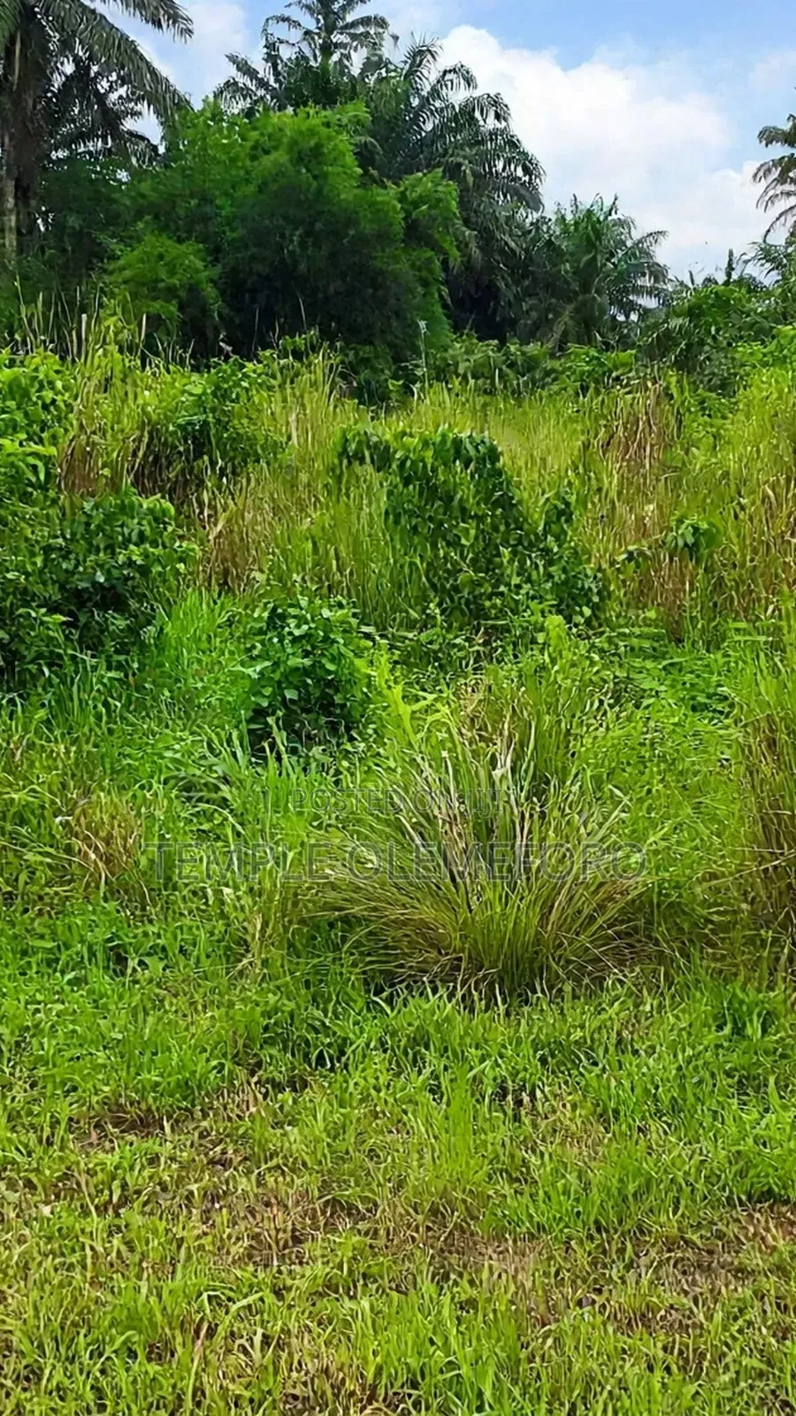 Prime View Estate, Isiokpo