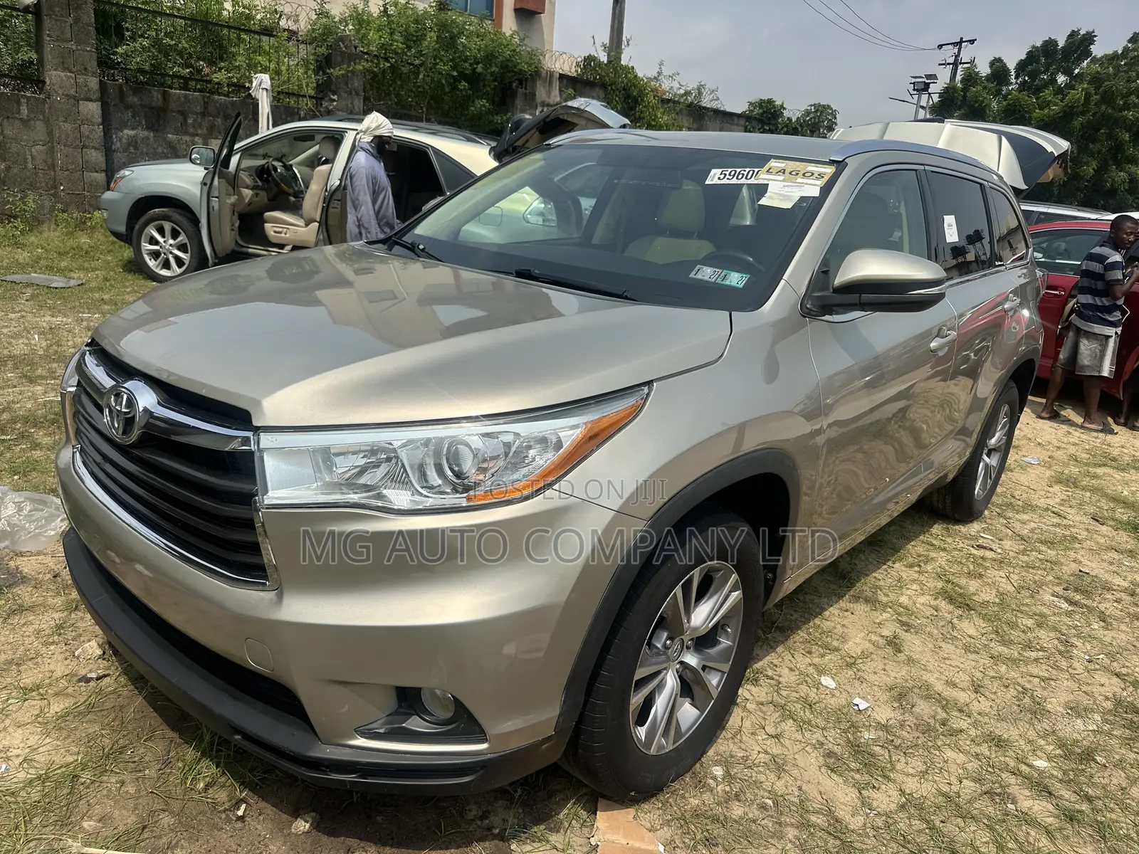 Toyota Highlander XLE 4dr SUV (3.5L 6cyl 6A) 2015 Gold