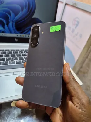 Samsung Galaxy A56 256 GB Gray