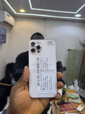 Apple iPhone 12 Pro Max 256 GB Silver