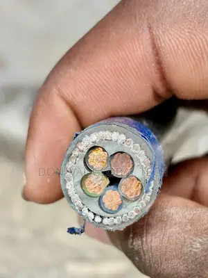 5core 10mm Copper Armored Cable