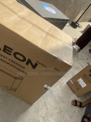 AEON FRAE200 200L Freezer for Preserving Fresh Food Products
