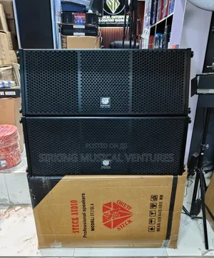 STECK AUDIO 10 Inches Professional Line Array