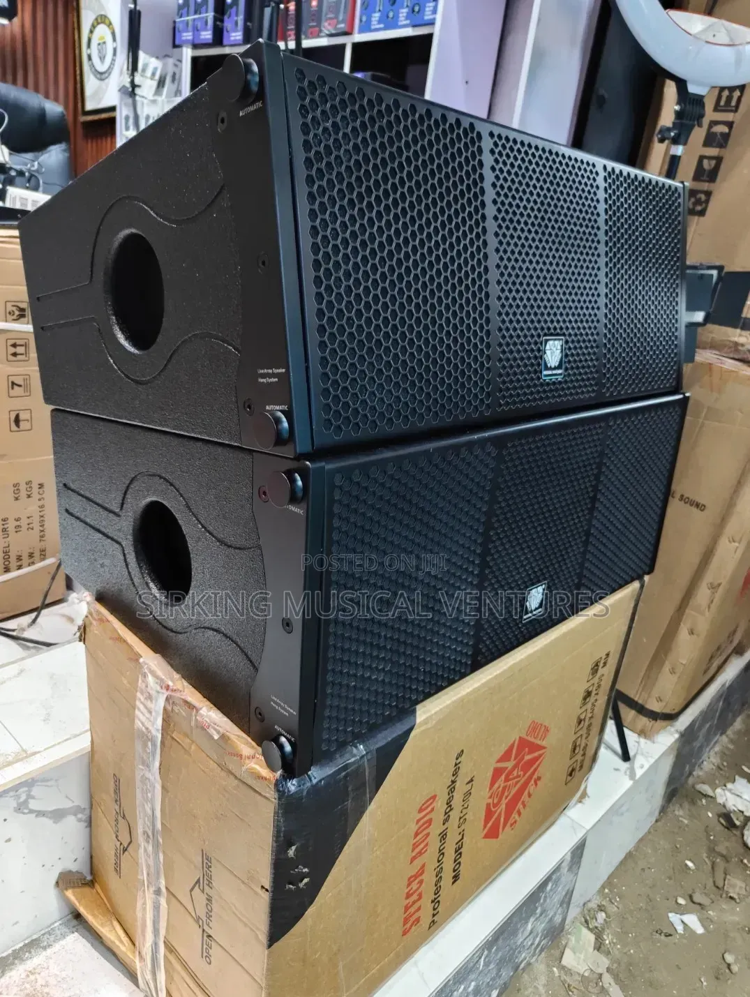 STECK AUDIO 10 Inches Professional Line Array