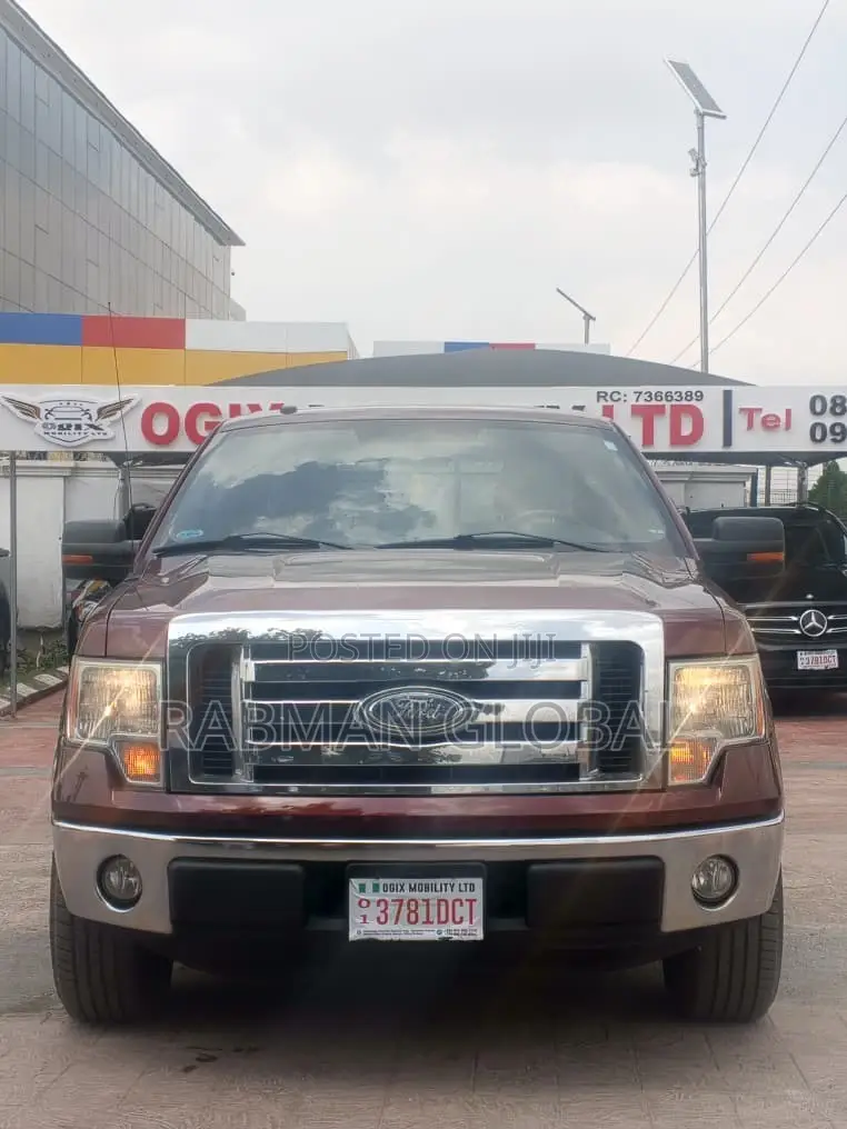 Ford F-150 2009 Beige