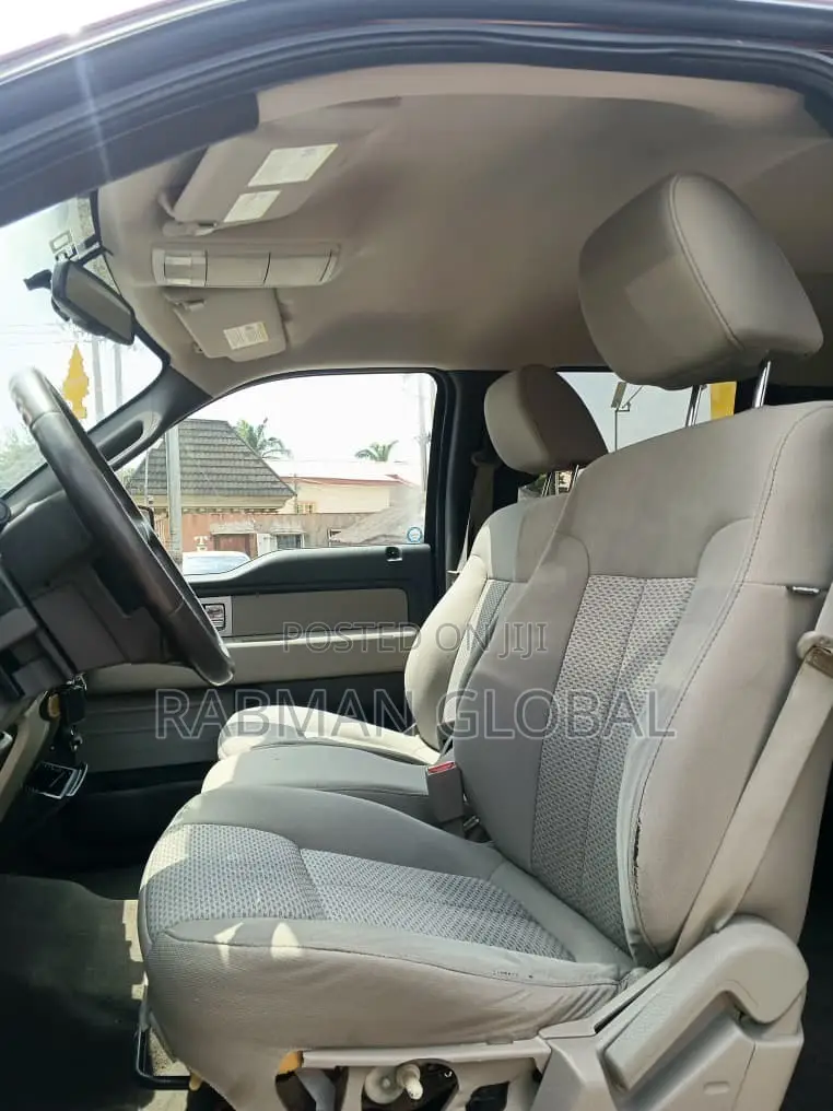 Ford F-150 2009 Beige
