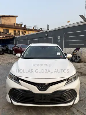 Toyota Camry LE (2.5L 4cyl 8A) 2019 Gray