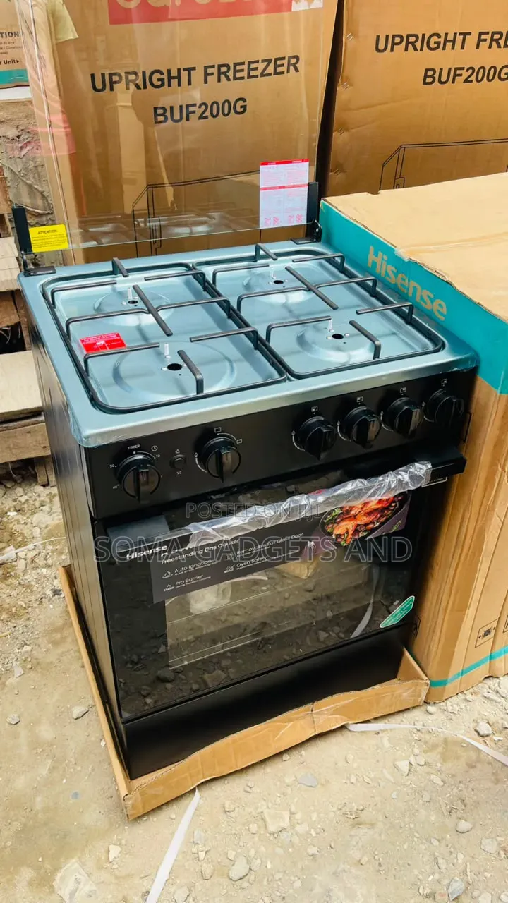 New Arrival Standing Automatic Gas Cooker 50*50 (Hisense)