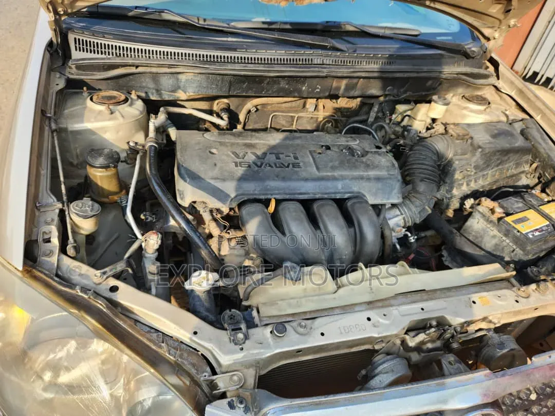 Toyota Corolla 2005 Gold