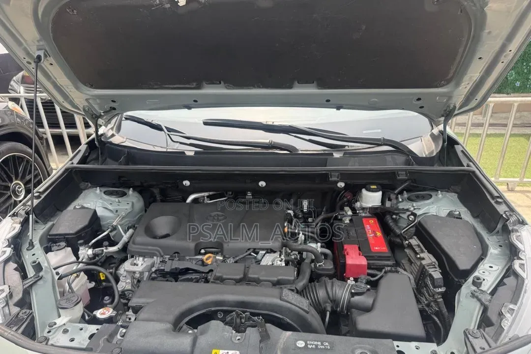 Toyota RAV4 XLE 2022 Green