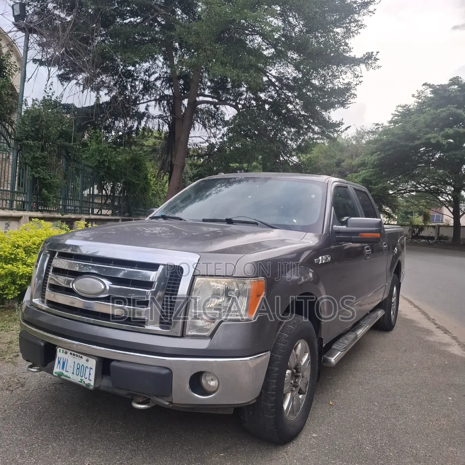 Ford F-150 2010 Gray