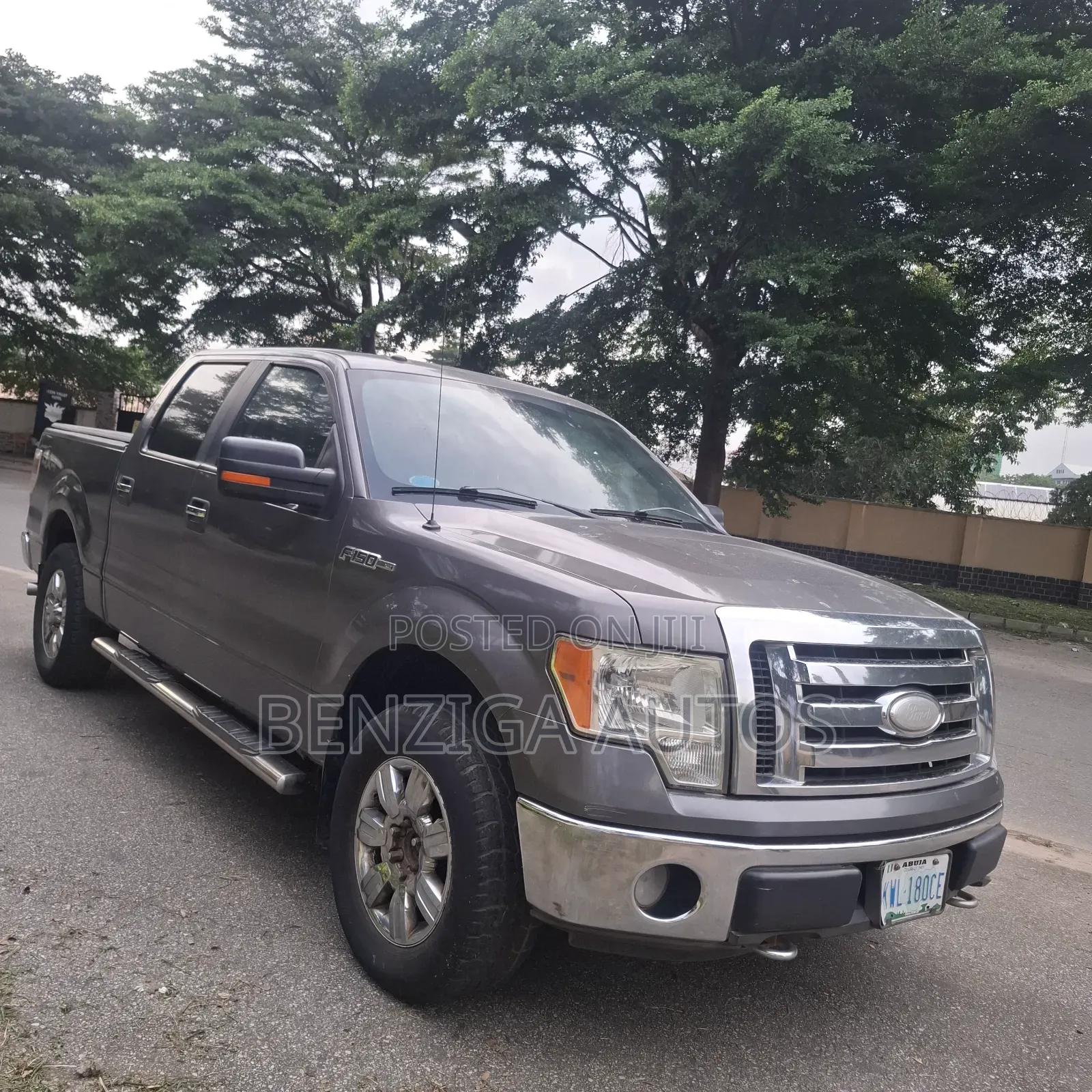 Ford F-150 2010 Gray